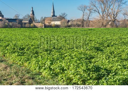 View of an Agra field in winter. Cultivated with winter vegetables.