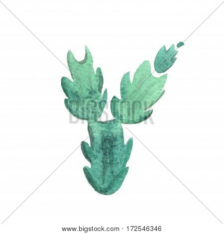 Watercolor hand drawn cactus. calles Zygocactus. Isolated on white. Beautiful cute green succulent. Ideal for sites, brochures, wedding invitation, card, banners etc