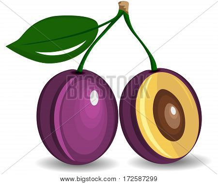 Composition of several plums. Purple vector plum fruits whole looking. Group of tasty fruits colorful design for the packaging of juice, breakfast, healthy eating, vegetarianism. Ripe whole plums