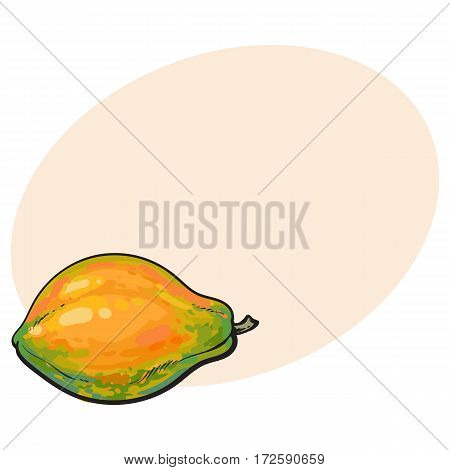 Whole unpeeled, uncut papaya tropical fruit in horizontal position, sketch style vector illustration with place for text. Realistic hand drawing of whole papaya fruit