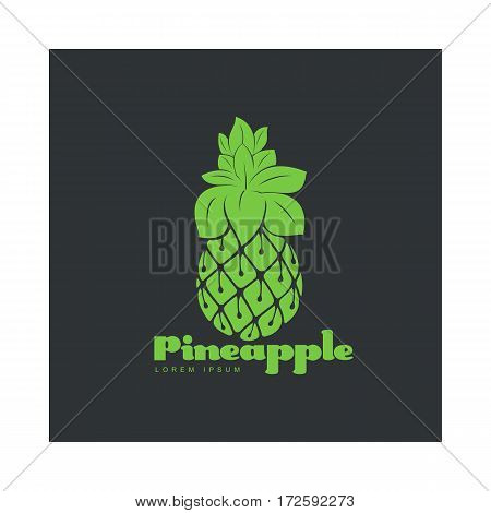 Two tone assymmetric graphic silhouette pineapple logo template, vector illustration isolated on black background. Stylized, simplified graphic pineapple logotype, logo design