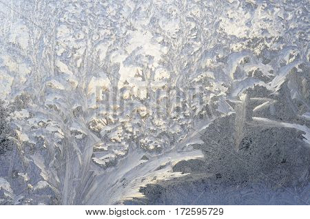 Variety of frost patterns on a winter window