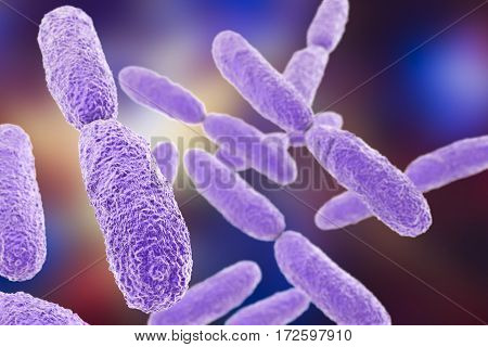 Bacteria Klebsiella, 3D illustration. Gram-negative rod-shaped bacteria which are often nosocomial antibiotic resistant