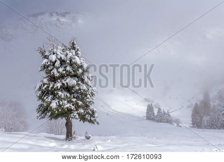 a snow day in natural park of Urkiola