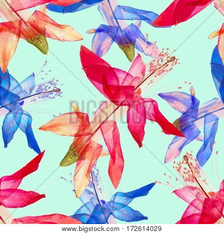 Schlumbergera Christmas Cactus. Texture of flowers. Seamless pattern for continuous replicate. Floral background photo collage for production of textile cotton fabric. For use in wallpaper covers.