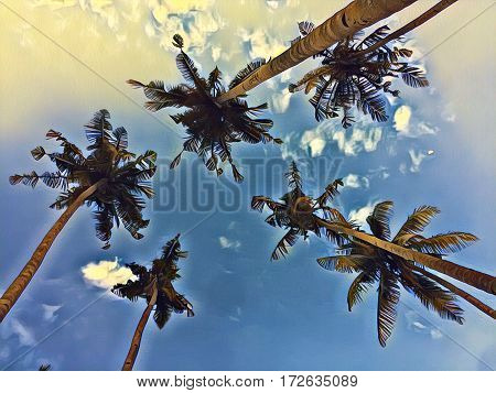 Palm trees on sky background. Coco palm tree leaf crowns digital illustration. Top of palms - view from below. Cloudy sky image with coco palm tree crones. Nature of tropical island. Exotic vacation
