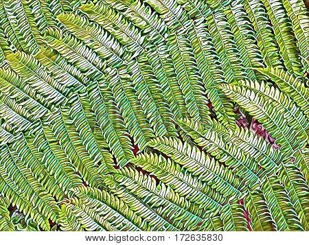 Fern leaf closeup background. Fern digital illustration with small leaves. Bracken in tropical forest. Garden fern backdrop for cart or banner template. Natural background of colorful leaves