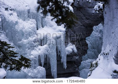 Icicles hanging from the canyon walls of Maligne Canyon in Jasper National Park, Canada