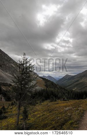 View from the Ptarmigan Cirque hike in Kananaskis Country, Canada