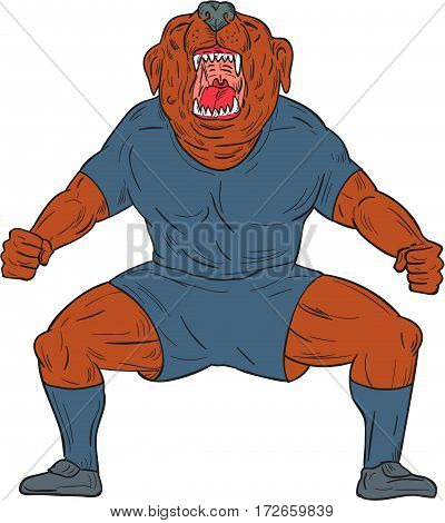 Illustration of a bulldog footballer with knees bent and mouth wide open celebrating haka victory goal viewed from front set on isolated white background done in cartoon style.