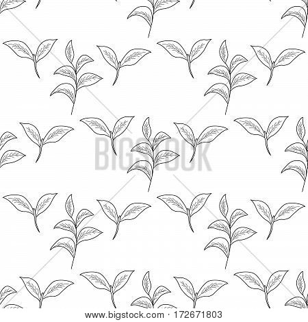 Green tea leaf illustration branch organic hand drawing sketch seamless pattern