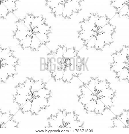Green tea leaf illustration branch organic hand drawing sketch seamless pattern wreath