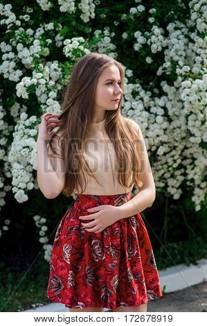 Beautiful Model Range Bush Of White Flowers