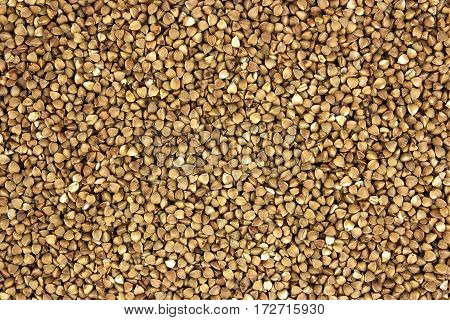 buckwheat grains background tasty and healthy, natural