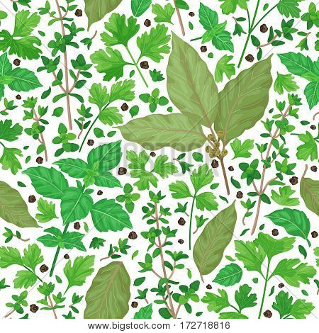 Seamless pattern with flavoring green herbs and spices. Thyme bay leaves parsley basil scattered leaves and pepper isolated on white. Cooking theme.