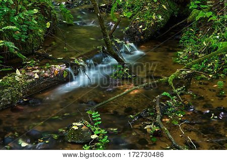 A small waterfall in a stream of water in the forest.