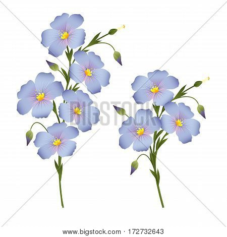 Two sprigs of flowering flax design element for labels packaging