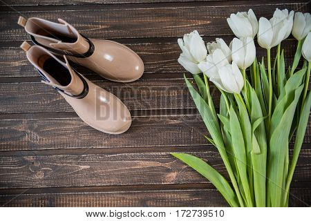 women's accessories, shoes lying on wooden background