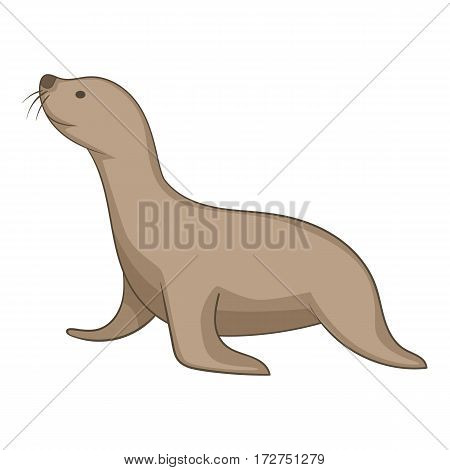 Seal animal icon. Cartoon illustration of seal animal vector icon for web