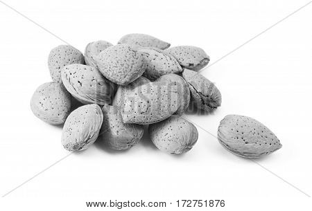 Small heap of whole almonds in shells a single nut lies separate from the main pile isolated on a white background