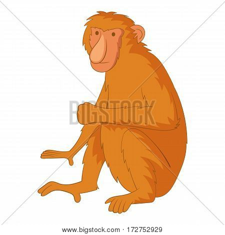 Proboscis monkey icon. Cartoon illustration of proboscis monkey vector icon for web