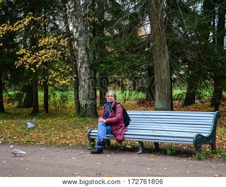 Autumn Scenery In Europe