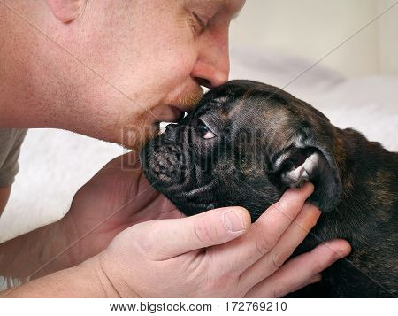 man kisses a dog. French bulldog black. Owner and animal