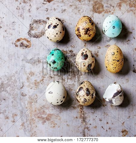 Decor whole and broken colorful Easter quail eggs standing in row rusty metaltexture background. Top view with copy space.