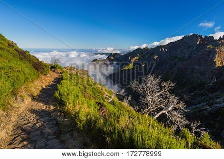 Hiking Pico Ruivo and Pico do Arierio - Madeira Portugal - travel background