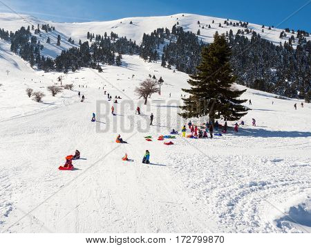 Slopes Of Kalavrita Ski Center