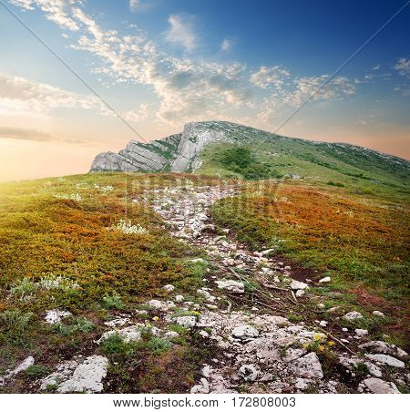 Plateau of a mountain in the autumn