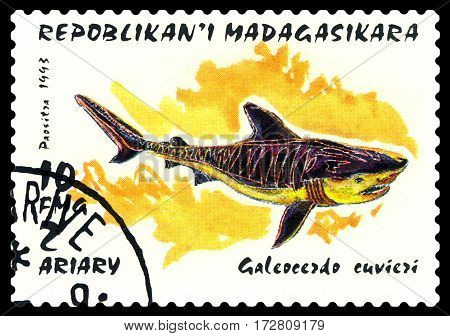 STAVROPOL RUSSIA - February 17 2017: a stamp printed by Malagasy shows Tiger shark (Galeocerdo cuvier) circa 1993