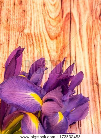 bunch of iris on wooden background portrait orientation