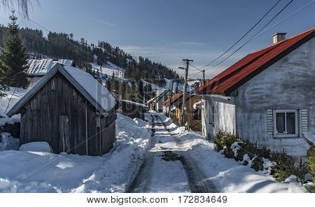 Sunny Winter Snowy Day In Mlynky Village