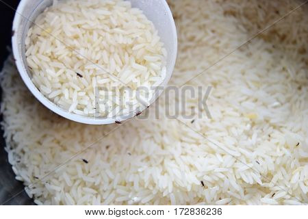 Thailand rice organic for storage until the insects.