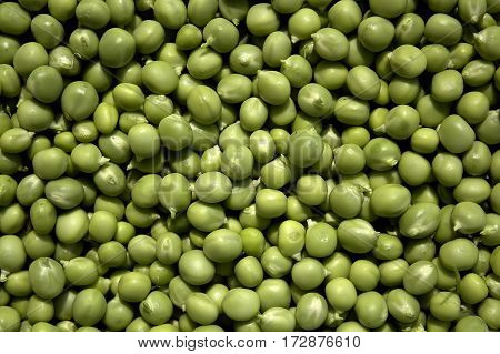 cleaned peas close-up view from above useful and tasty natural