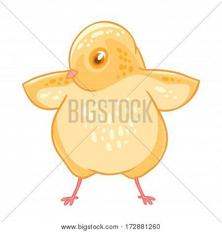 Yellow cute cheeper raised wings. Vector illustration isolated on white background.