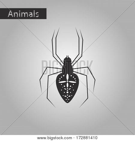 black and white style icon of Araneus