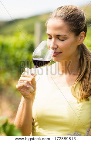 Female vintner smelling glass of wine in vineyard