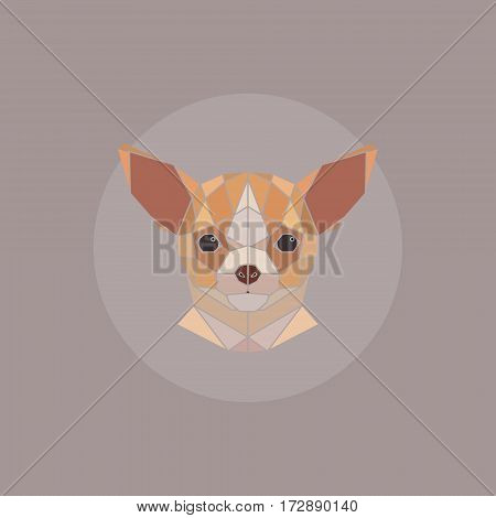 Geometric vector animal illustration. Chihuahua polygonal head.