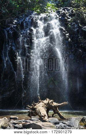Ellinjaa Falls In Atherton Tablelands, Australia