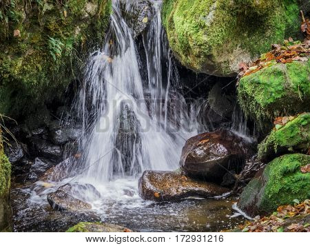 creek with running water