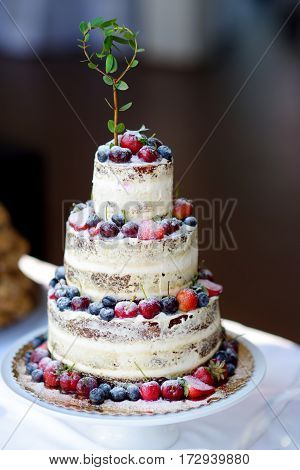 Delicious Chocolate Wedding Cake Decorated With Fruits And Berries