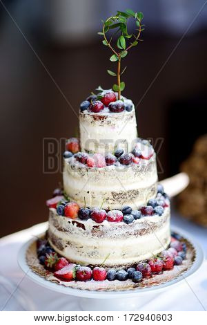 Delicious Chocolate Wedding Cake Decorated With Fruits And Berries
