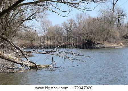 Lake in the wild ambient at the nature park