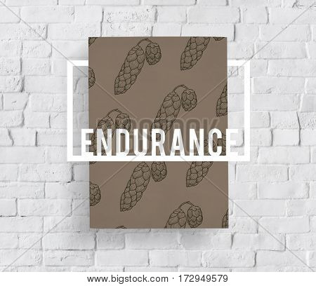 Endurance Fortitude Patience Perseverance Positive