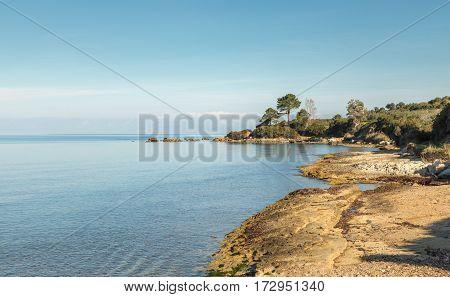 Coastline Of Corsica Near Saint Florent