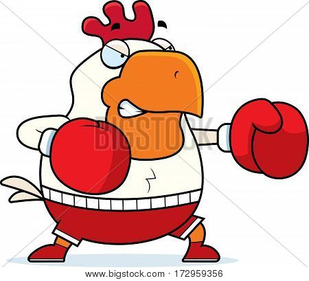 Cartoon Rooster Boxing