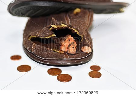 Leaky Brown Slippers.