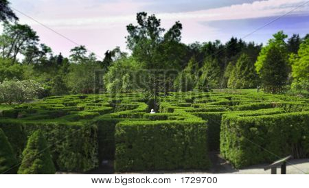Labyrinth